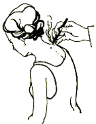 點擊將在新窗口查看全圖